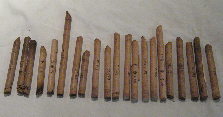 Taken March 27, 2012 by Dr. Dan Miles of the Oxford Dendrochronology Lab, Mapledurham, Oxford, UK